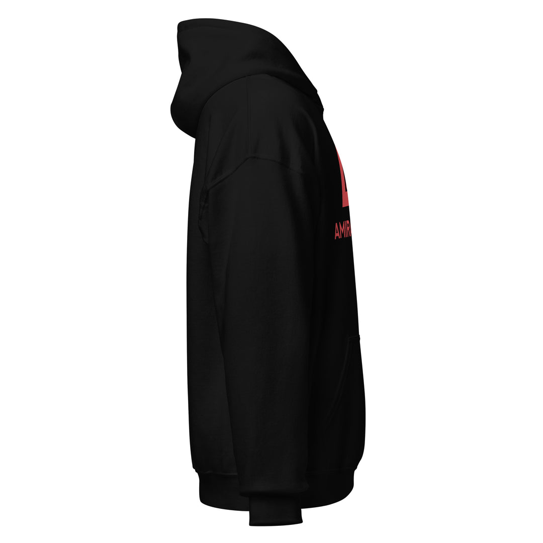 Sweat à capuche Classique d'hiver Homme Authentic
