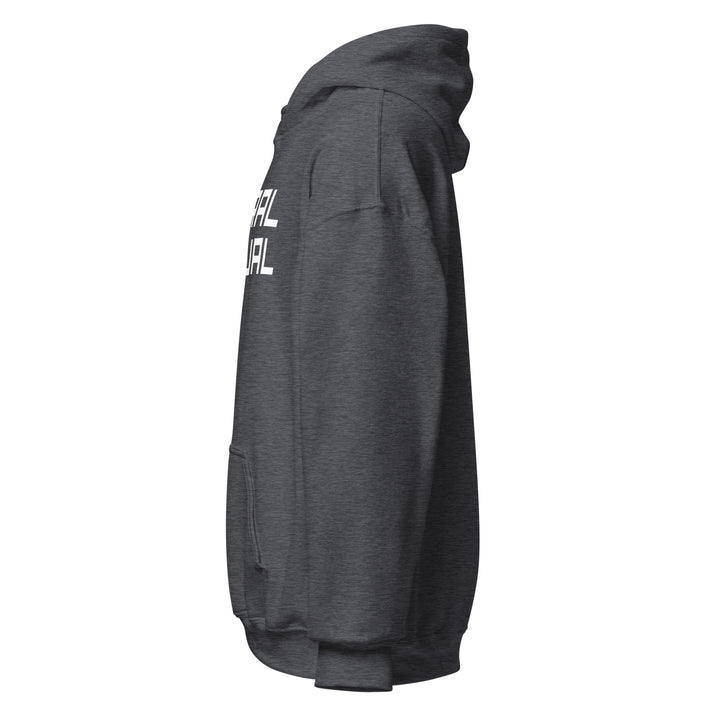 Sweat à capuche Classique d'hiver Homme Actuel