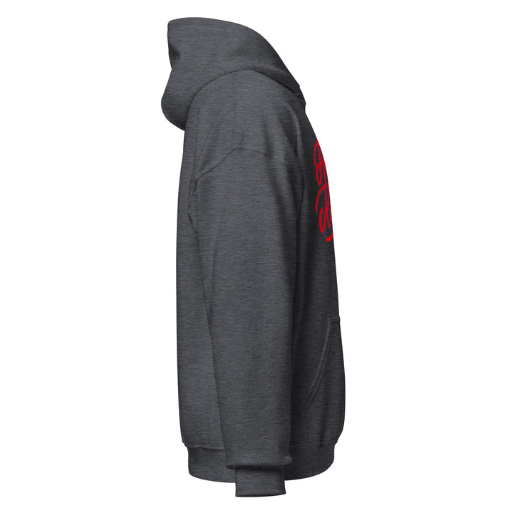 Sweat à capuche Classique d'hiver Femme Sportswear