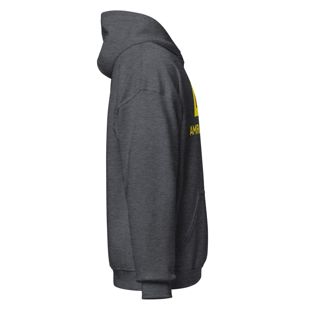 Sweat à capuche Classique d'hiver Homme Authentic