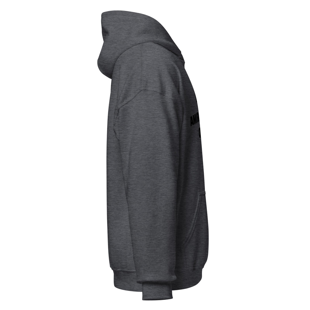 Sweat à capuche Classique d'hiver Homme Original