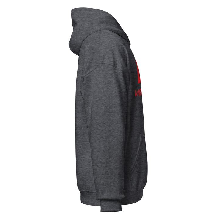 Sweat à capuche Classique d'hiver Homme Authentic