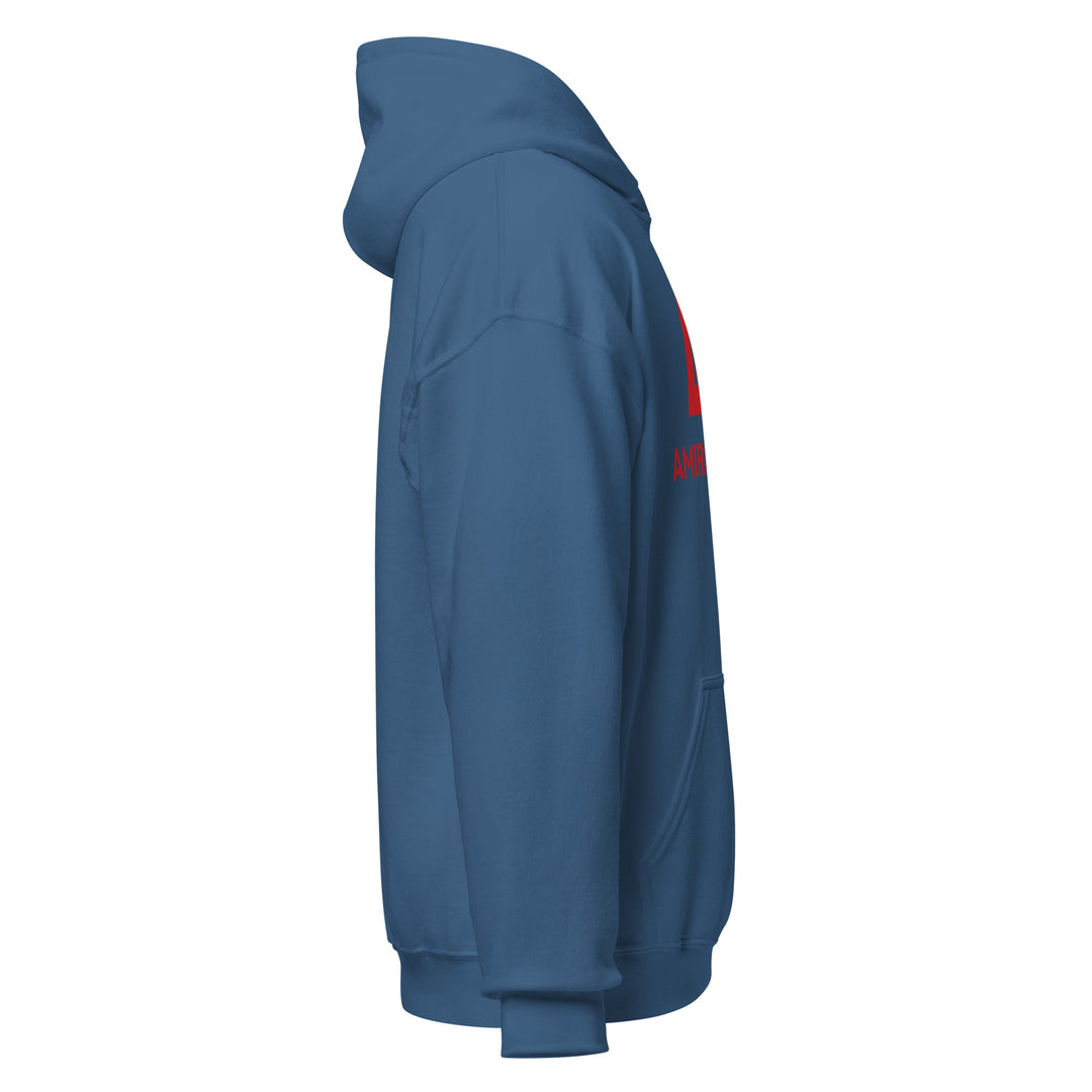 Sweat à capuche Classique d'hiver Homme Authentic