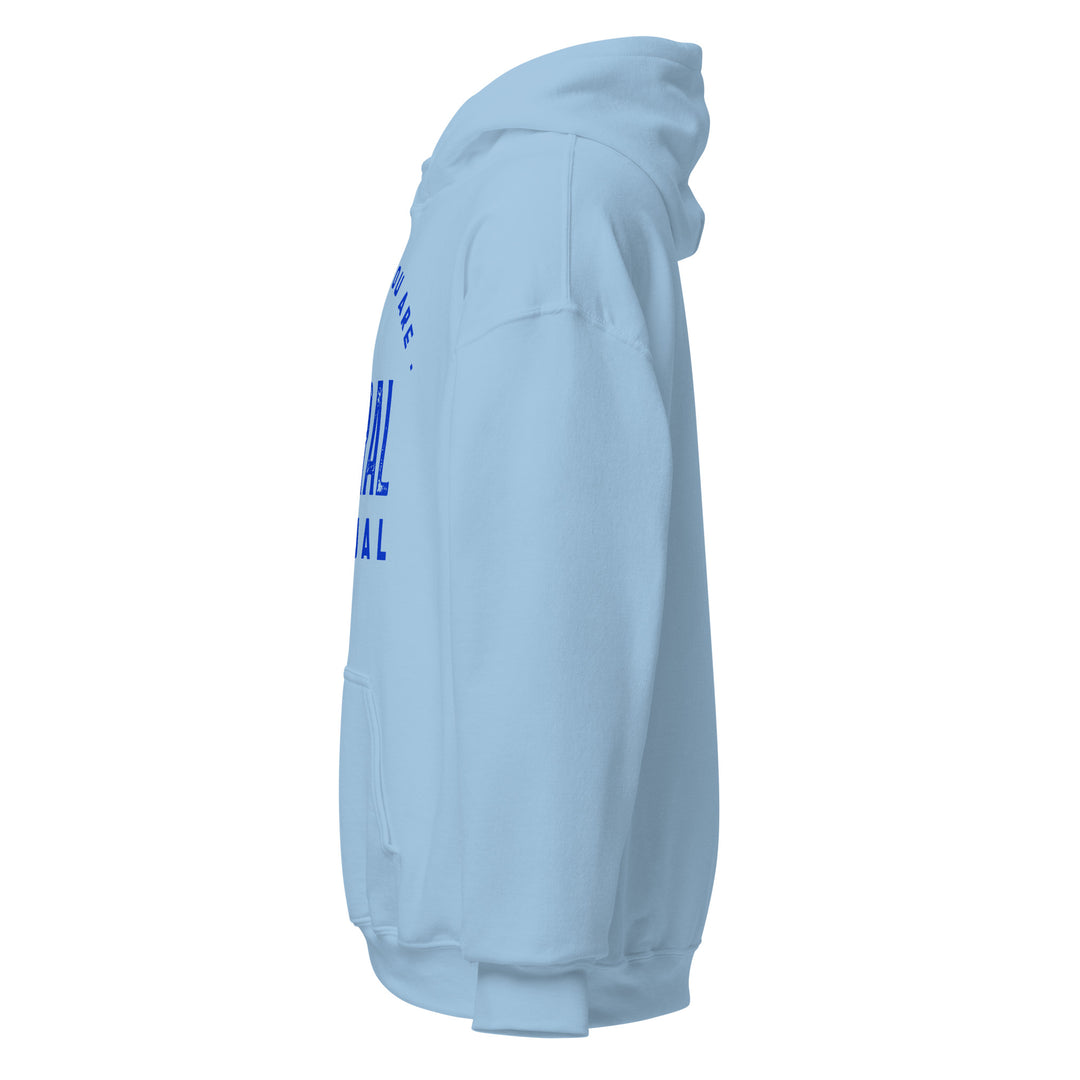 Sweat à capuche Classique d'hiver Homme Be who you are