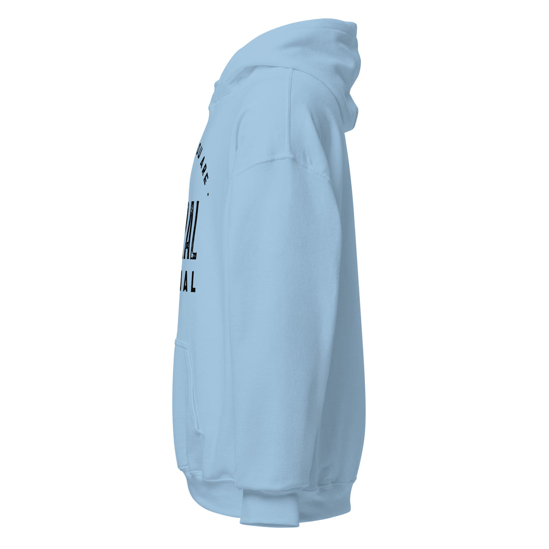 Sweat à capuche Classique d'hiver Homme Be who you are