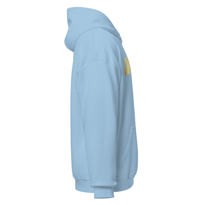 Sweat à capuche Classique d'hiver Homme Energy