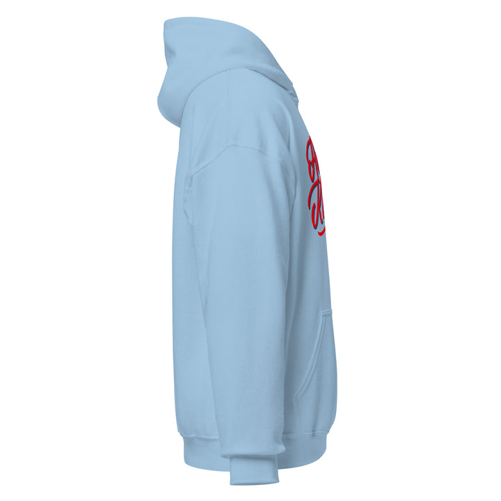 Sweat à capuche Classique d'hiver Femme Sportswear