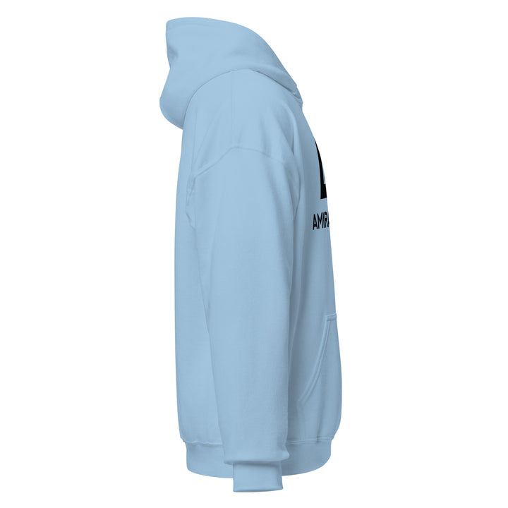 Sweat à capuche Classique d'hiver Homme Authentic