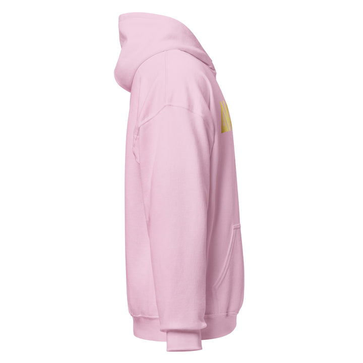 Sweat à capuche Classique d'hiver Homme Energy