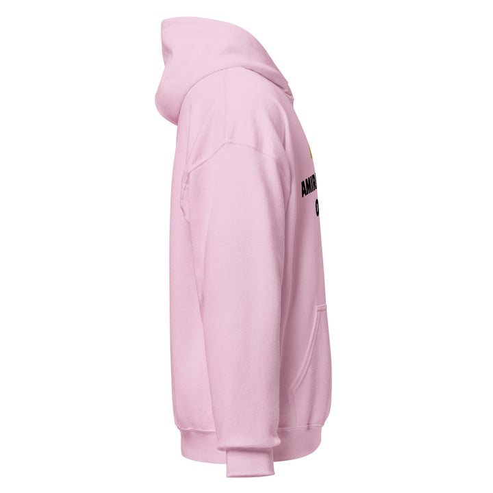 Sweat à capuche Classique d'hiver Homme Original
