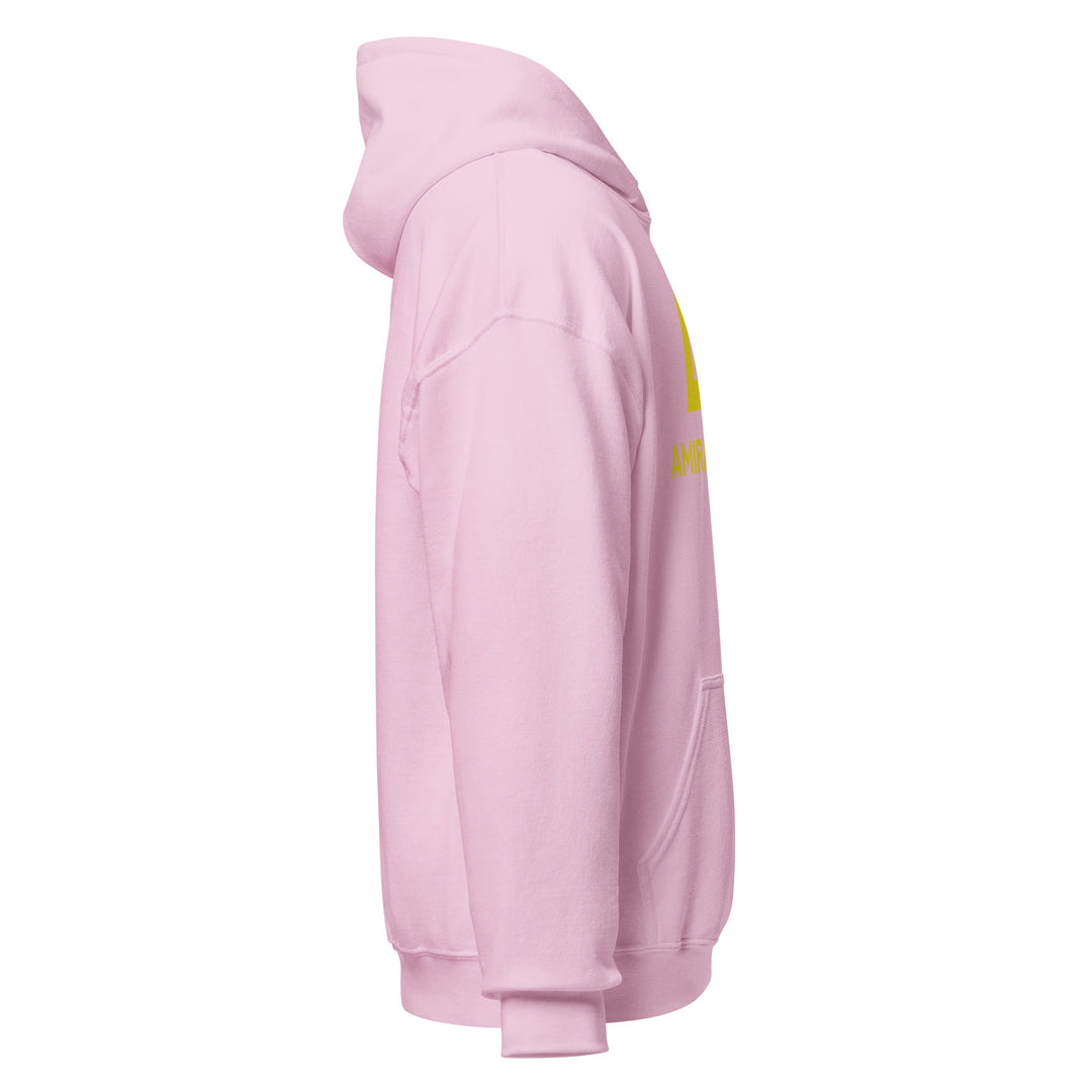 Sweat à capuche Classique d'hiver Homme Authentic