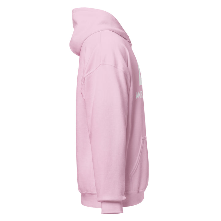 Sweat à capuche Classique d'hiver Homme Authentic