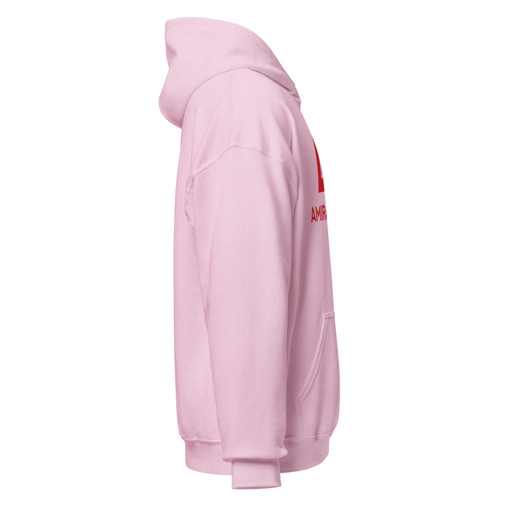 Sweat à capuche Classique d'hiver Homme Authentic
