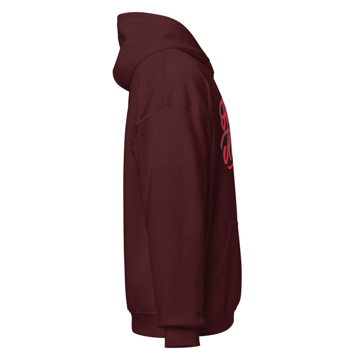 Sweat à capuche Classique d'hiver Femme Sportswear