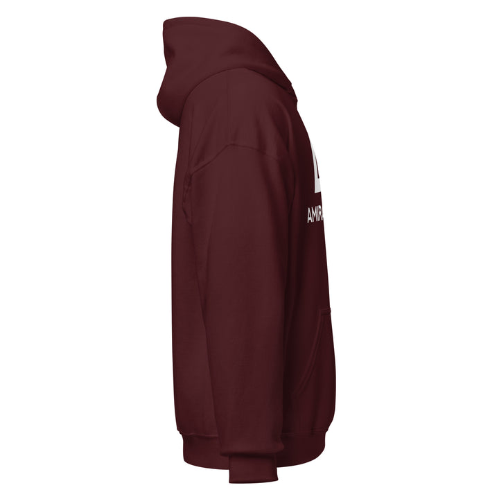 Sweat à capuche Classique d'hiver Homme Authentic
