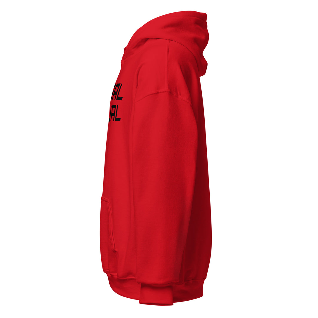 Sweat à capuche Classique d'hiver Homme Actuel