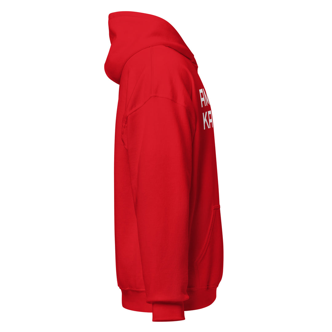 Sweat à capuche Classique d'hiver Homme Actuel