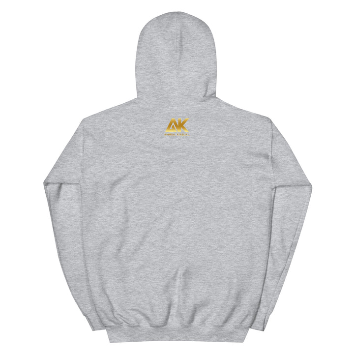Sweat à capuche Classique d'hiver Homme LogoR