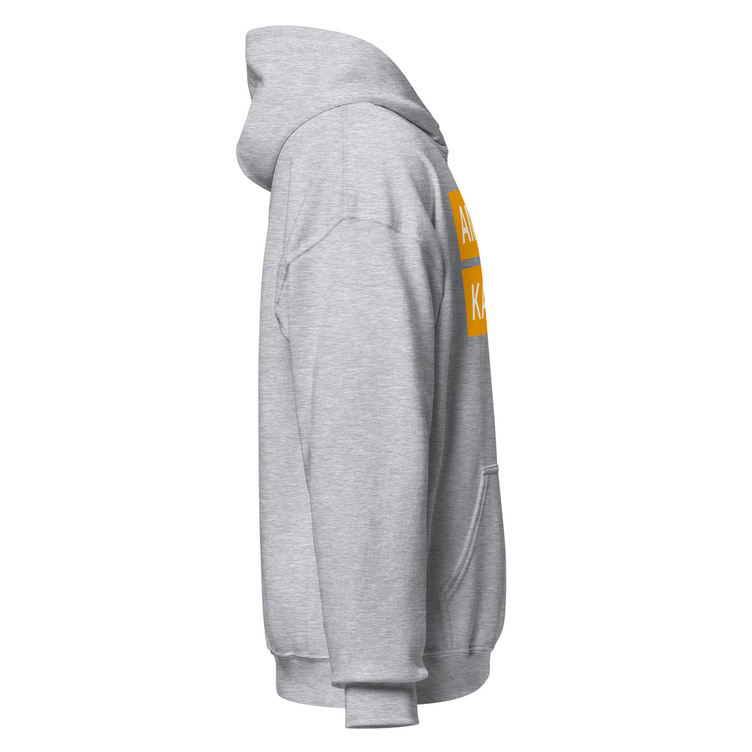 Sweat à capuche Classique d'hiver Homme Urban