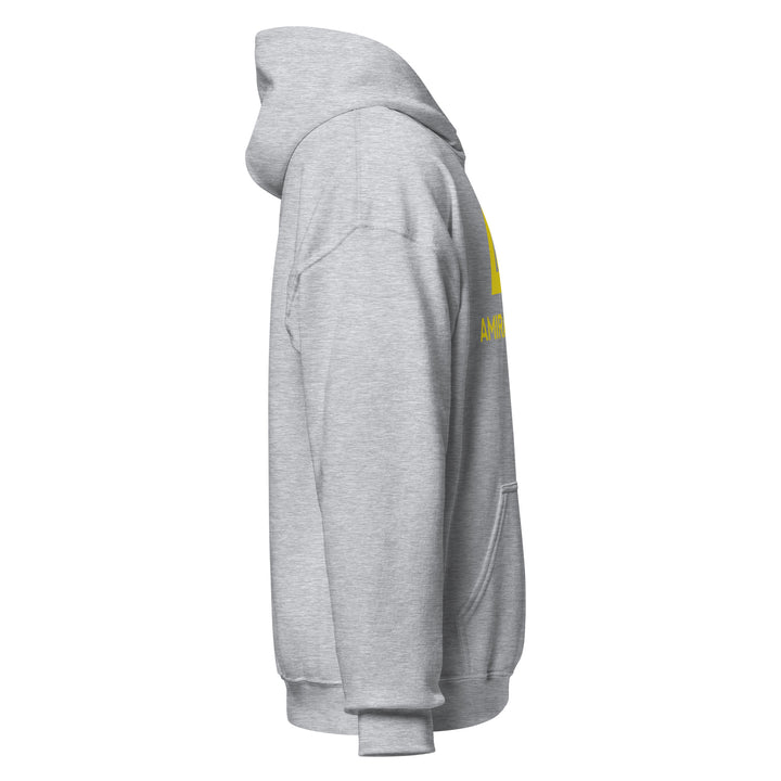 Sweat à capuche Classique d'hiver Homme Authentic