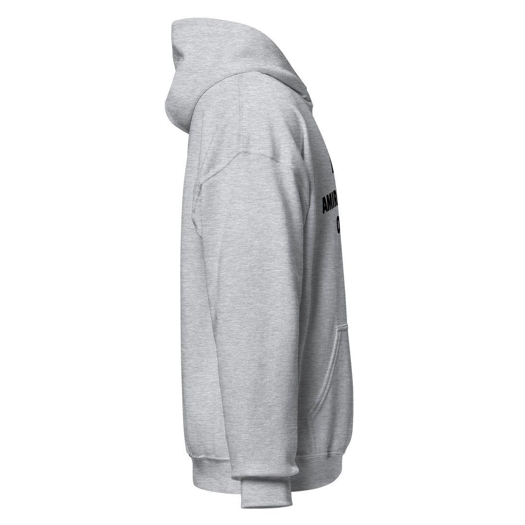 Sweat à capuche Classique d'hiver Homme Original