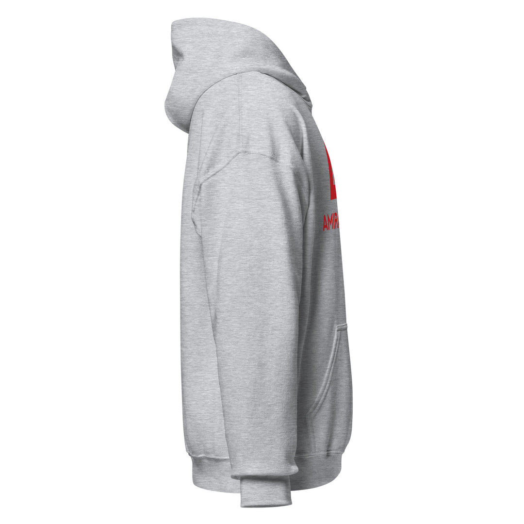 Sweat à capuche Classique d'hiver Homme Authentic