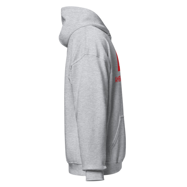 Sweat à capuche Classique d'hiver Homme Authentic