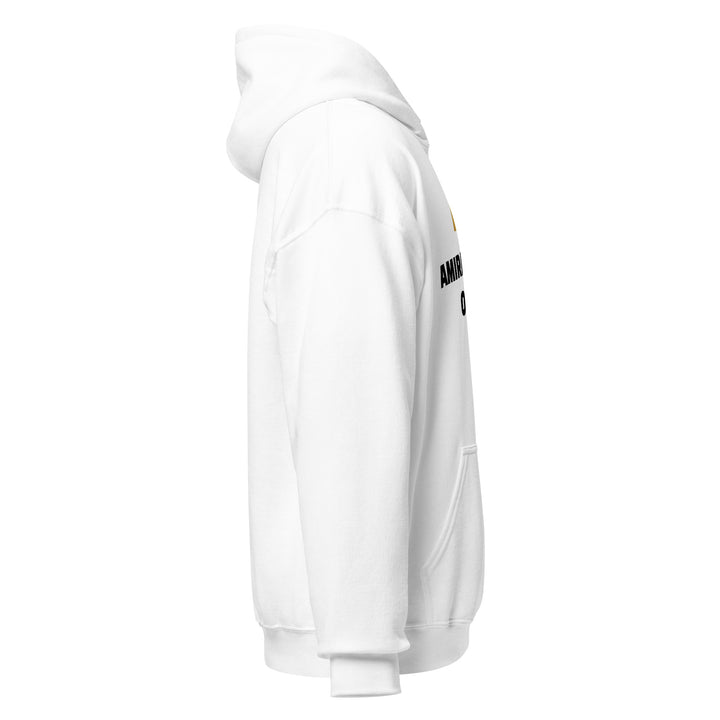 Sweat à capuche Classique d'hiver Homme Original