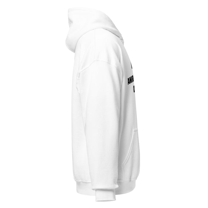 Sweat à capuche Classique d'hiver Homme Original