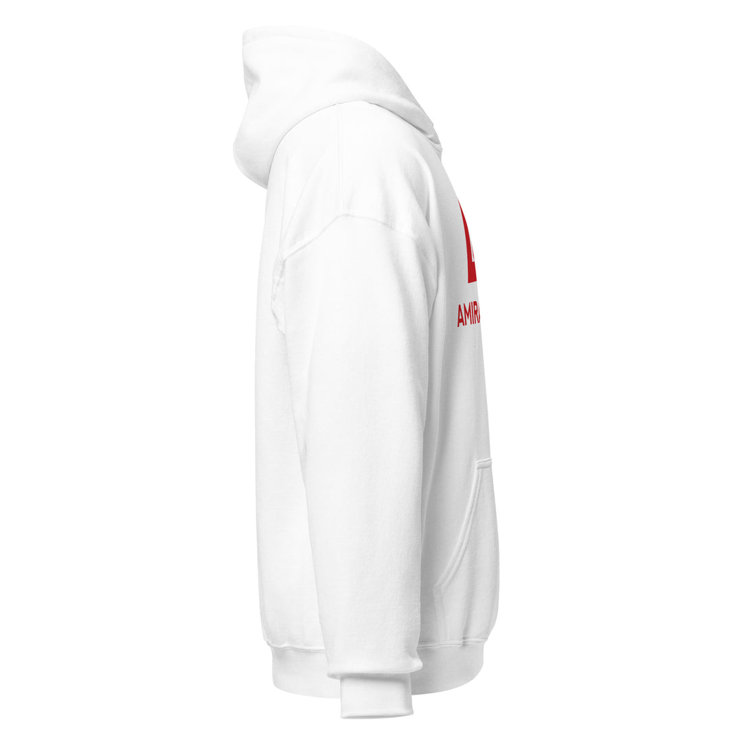 Sweat à capuche Classique d'hiver Homme Authentic