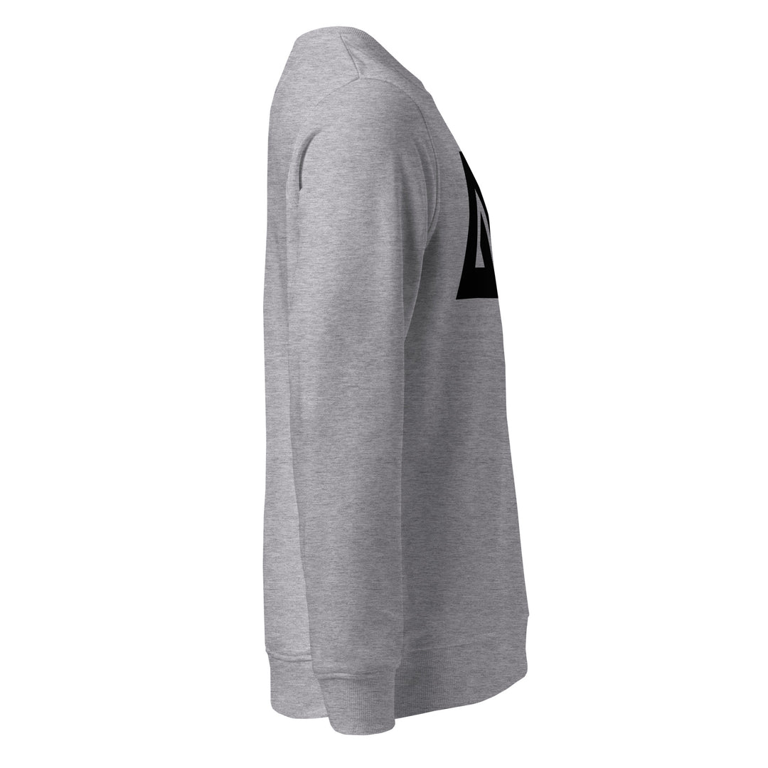 Sweat-shirt doux BIO-écologique Homme LogoR