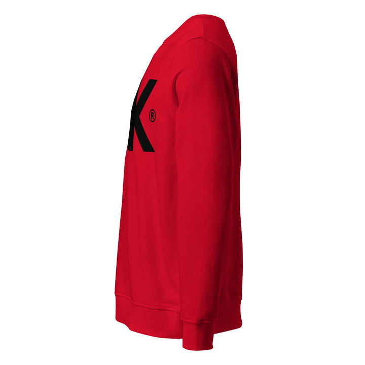 Sweat-shirt doux BIO-écologique Homme LogoR