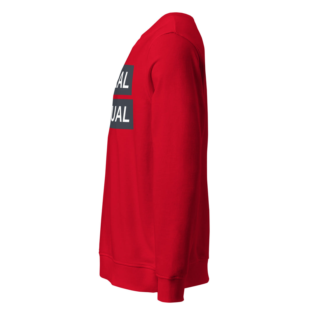 Sweat-shirt doux BIO-écologique Homme Urban