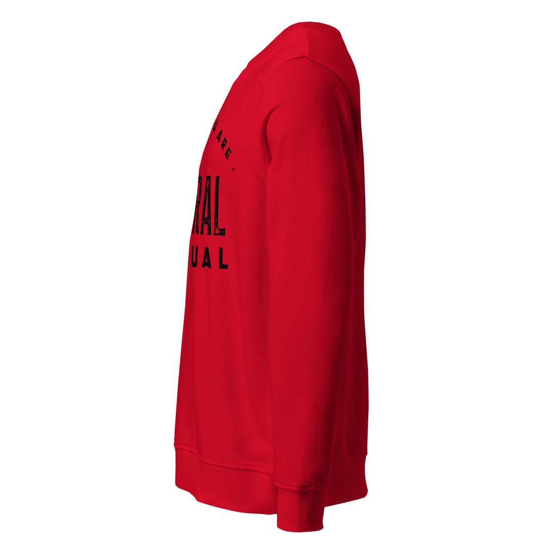 Sweat-shirt doux BIO-écologique Homme Be who you are