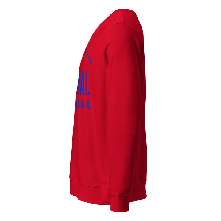Sweat-shirt doux BIO-écologique Homme Be who you are