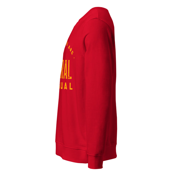 Sweat-shirt doux BIO-écologique Homme Be who you are