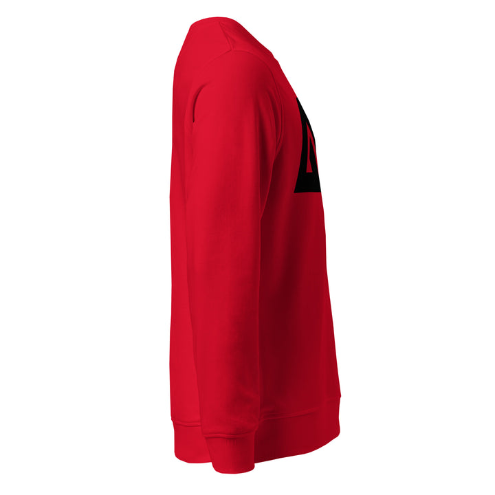Sweat-shirt doux BIO-écologique Homme LogoR
