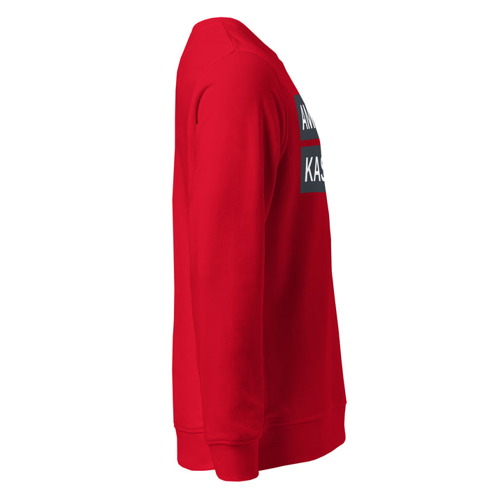 Sweat-shirt doux BIO-écologique Homme Urban
