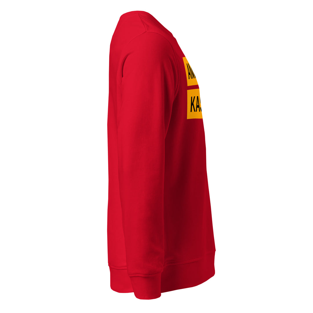 Sweat-shirt doux BIO-écologique Homme Urban