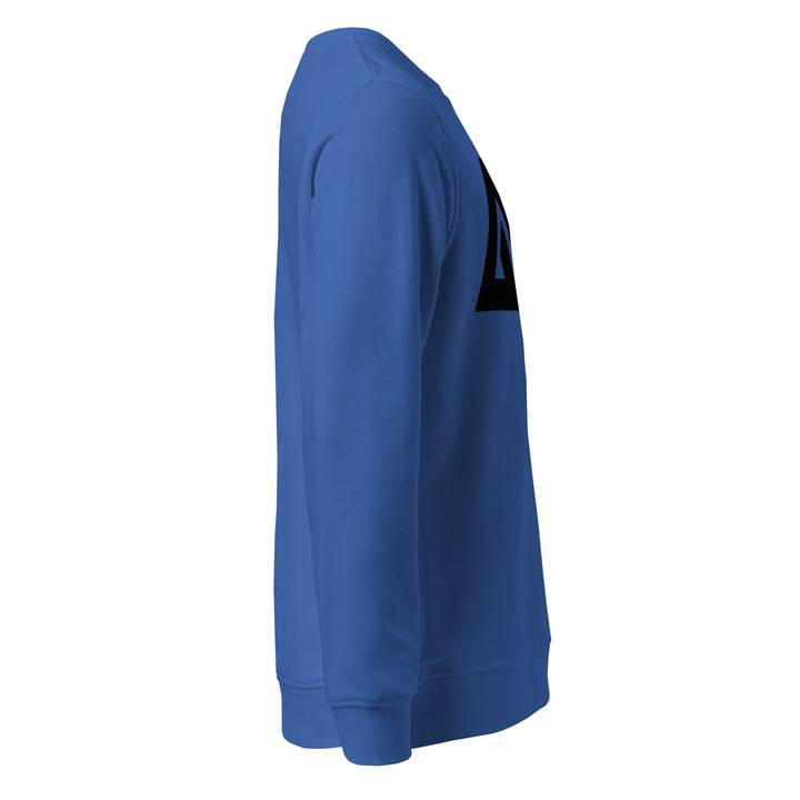Sweat-shirt doux BIO-écologique Homme LogoR