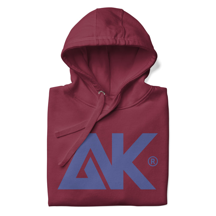 Sweat à Capuche Outdoors Homme LogoR