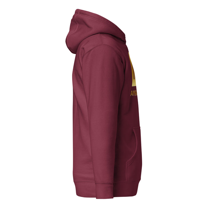 Sweat à Capuche Outdoors Homme Authentic