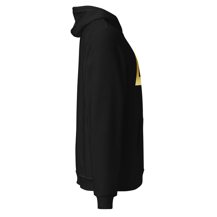 Sweat à Capuche décontracté Homme logoR