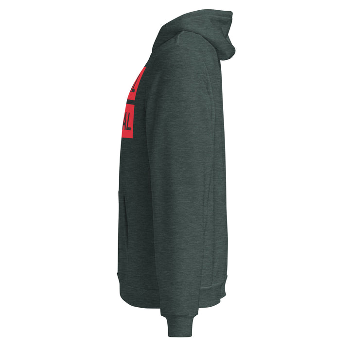 Sweat à Capuche décontracté Homme Urban