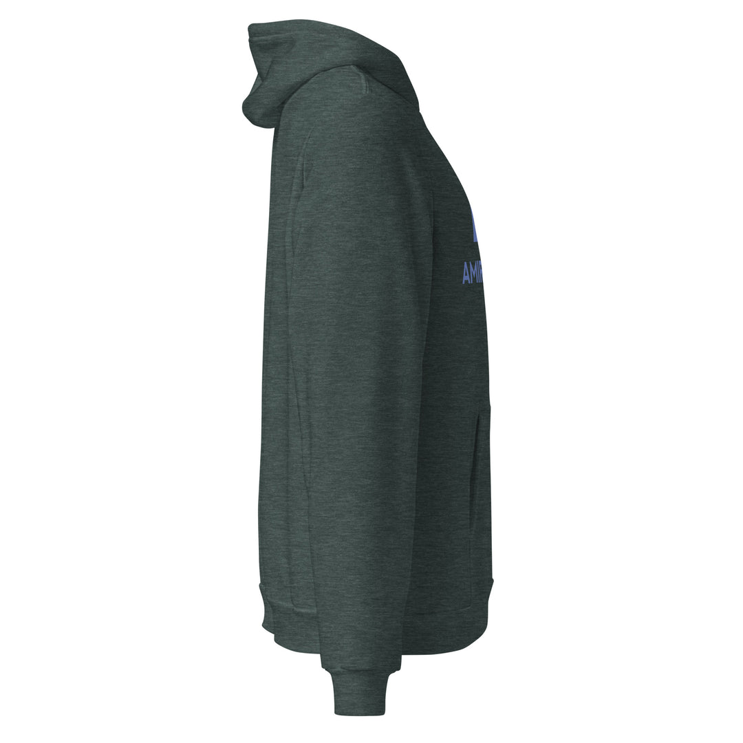 Sweat à Capuche décontracté Homme Authentic