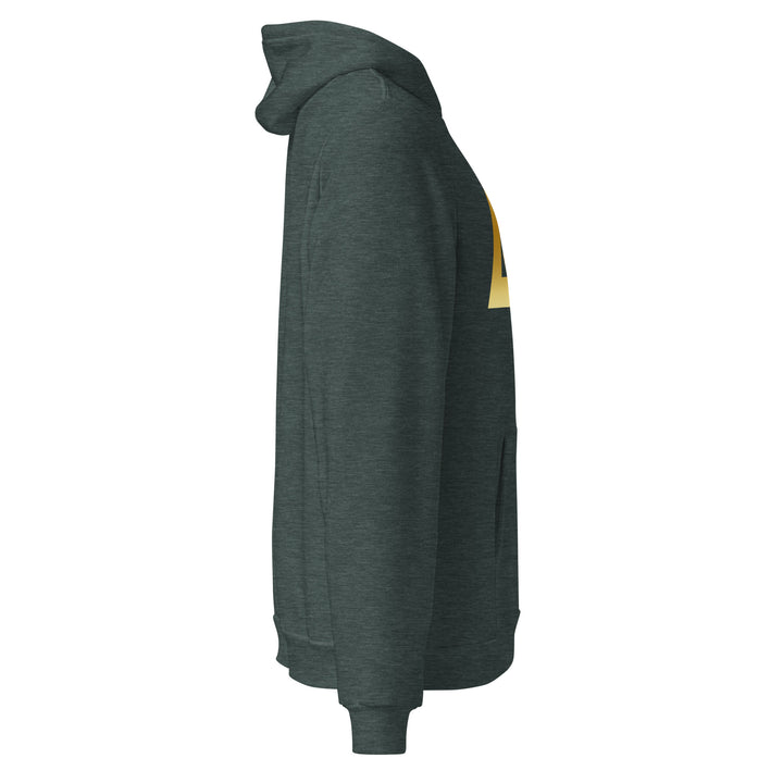 Sweat à Capuche décontracté Homme logoR