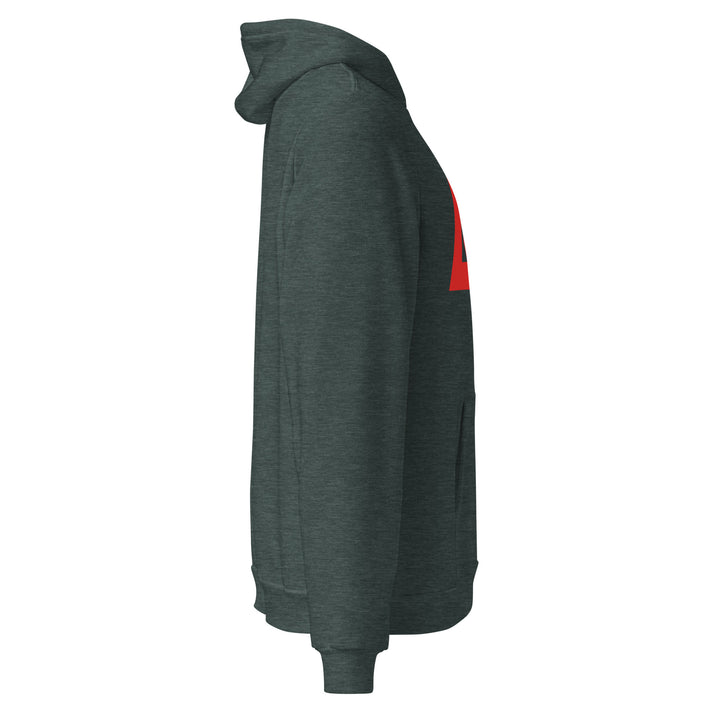 Sweat à Capuche décontracté Homme logoR